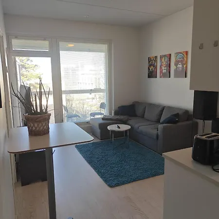 And Cloce To The Airport 30m2 App Appartement